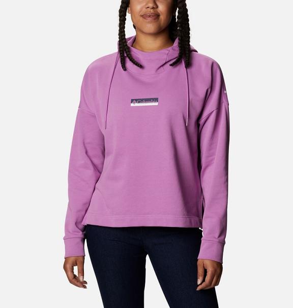 Columbia Logo Hoodies Pink For Women's NZ83576 New Zealand